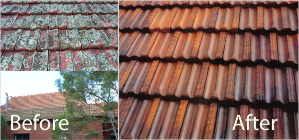 Terracotta Tiles Before & After Image